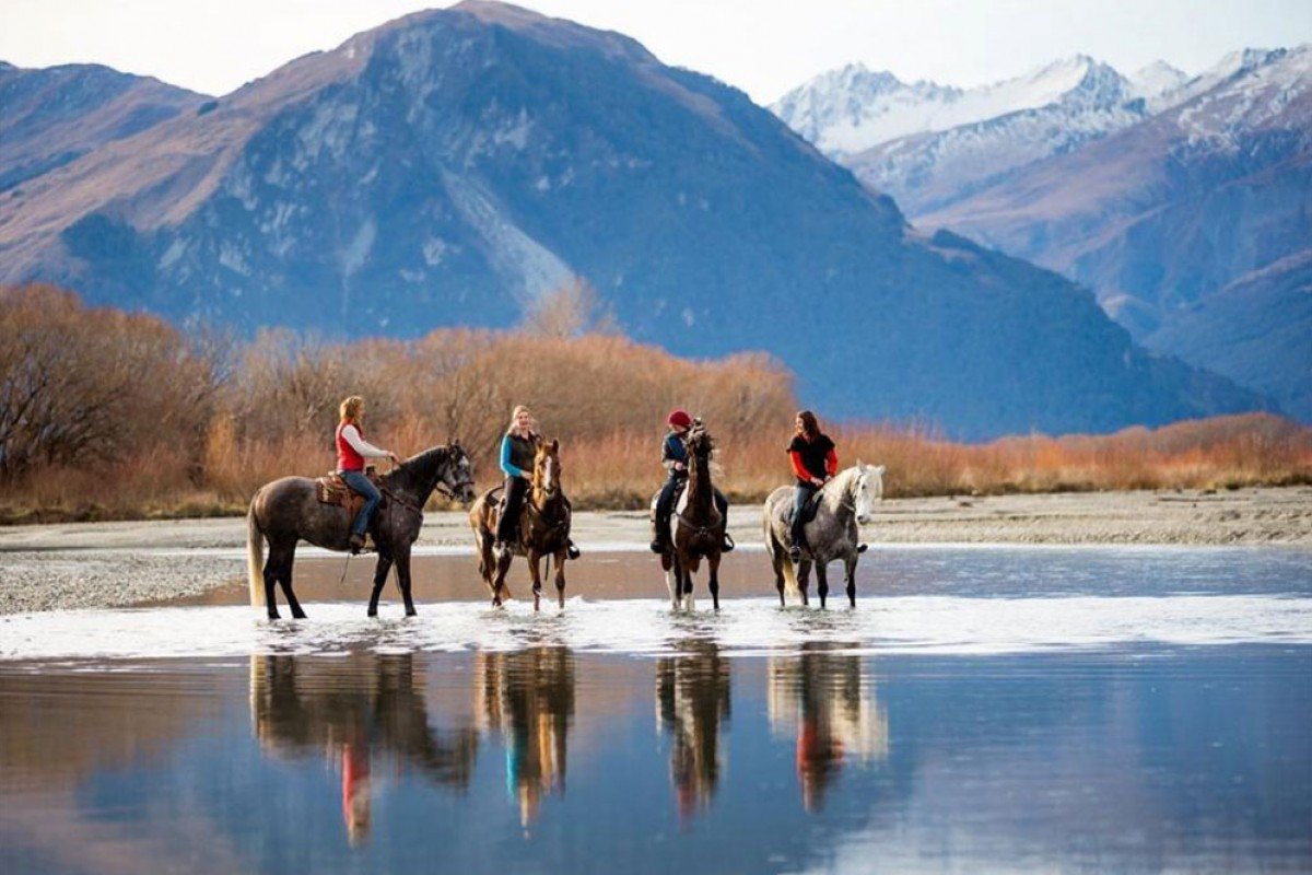 high country horses