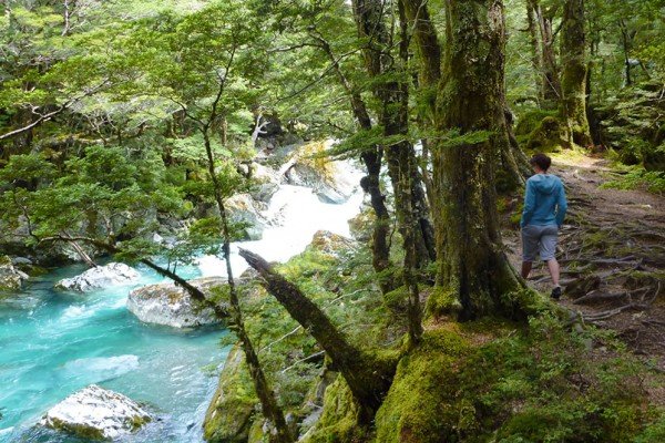 glenorchy journeys