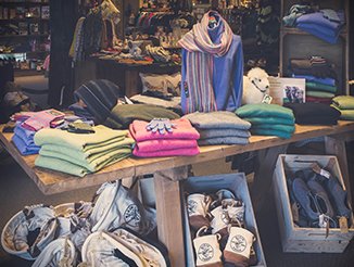 Sweater and Merchandise