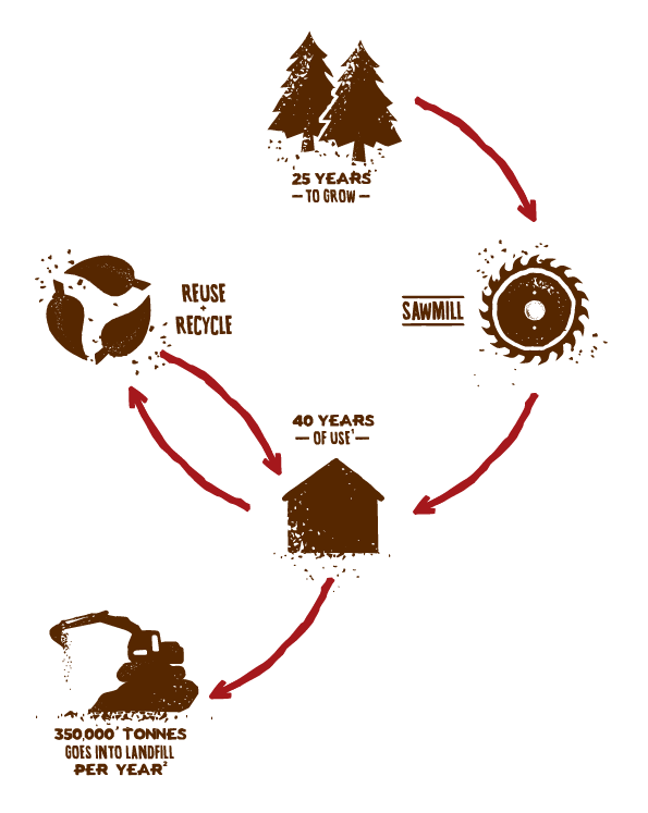 TH32704 Timber Cycle