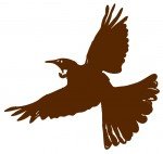 Place Bird