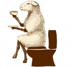 Water Mrs Woolly on toilet