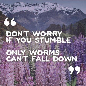 Fav Quotes 1
