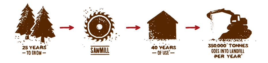 TH32704 Timber lifecycle 2 diagrams