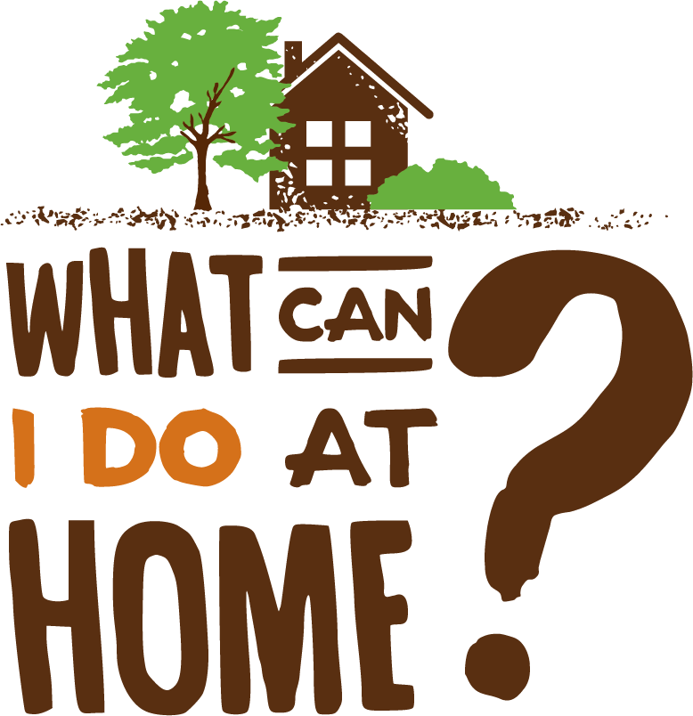 What can I do at home